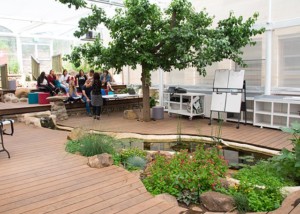 Ohalo Biophilic Learning Space